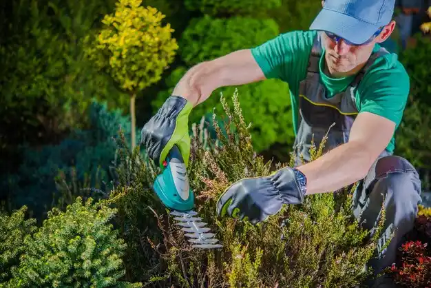 landscaping services Fairbury